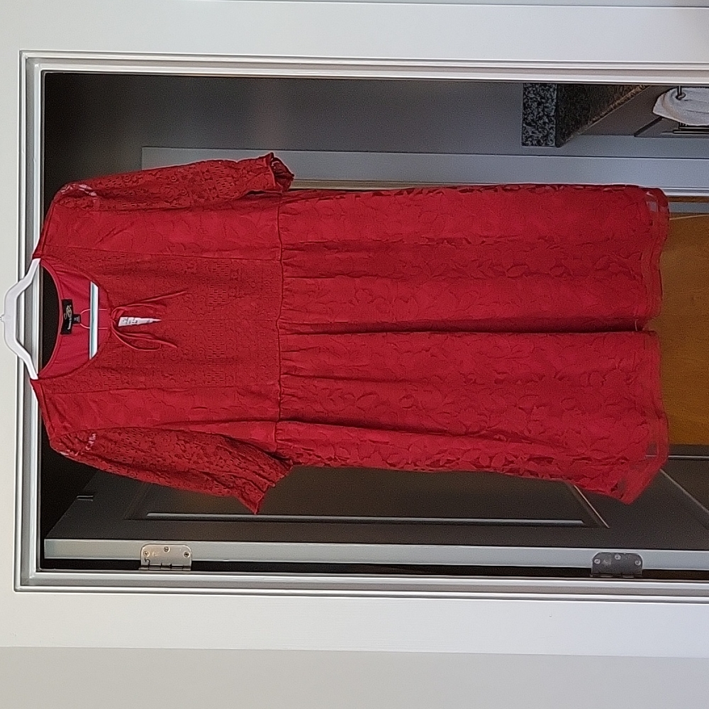 NWT! 1X Lovely Red Dress with lace and Sheer Detail